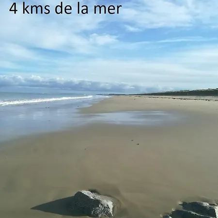 Aparthotel - Le Downtown 1 à 6 Personnes 4*