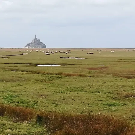- Le Downtown 1 à 6 Personnes