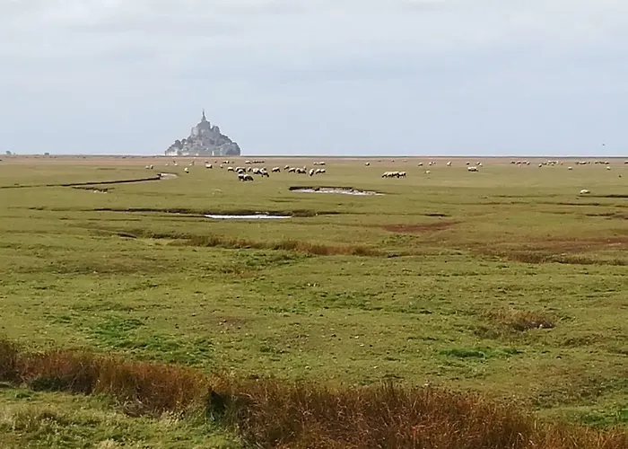 - Le Downtown 1 A 6 Personnes